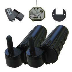                                                                                     Double motorisation pour...
                                                                            